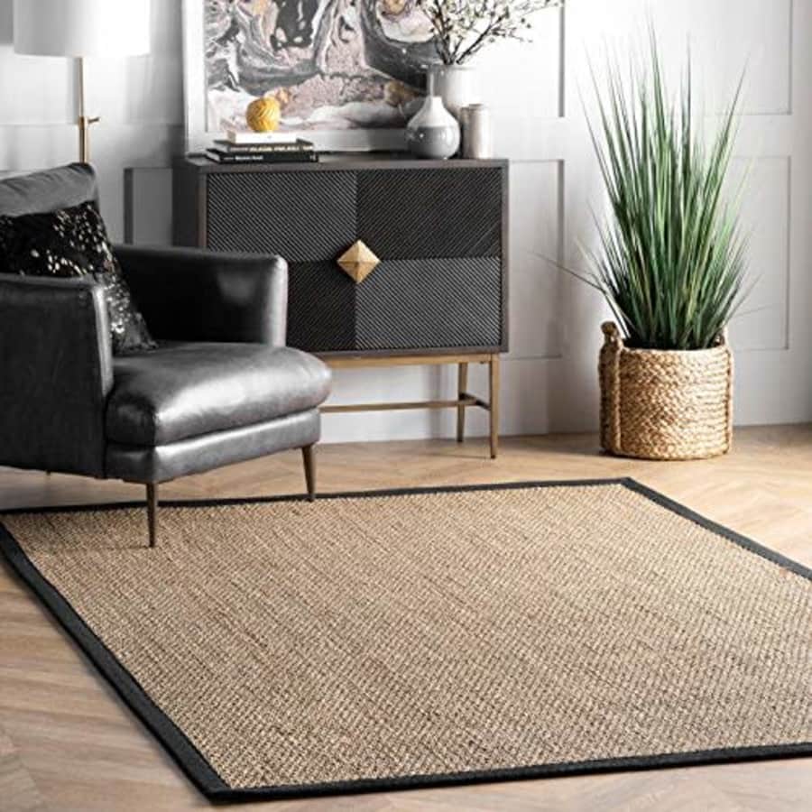 nuLOOM Elijah Seagrass Natural Area Rug, 4' x 6', Black for $80