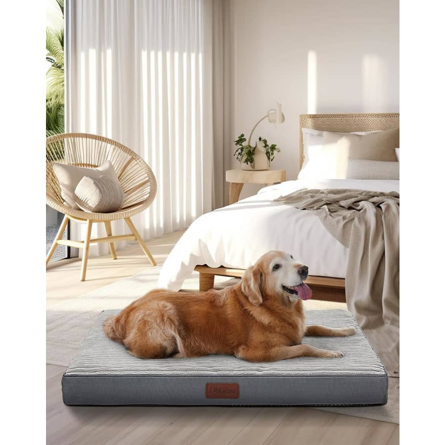 35" x 22" x 3.5" Dog Bed for $20 w/ Prime