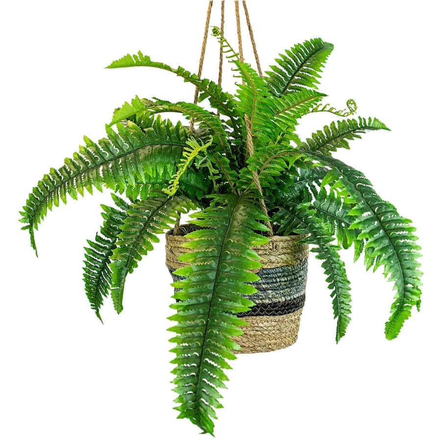 LCG Sales 30" Artificial Boston Fern in Hanging Handwoven Basket for $36