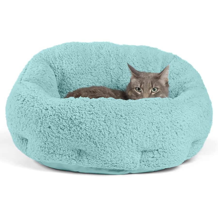 Best Friends by Sheri OrthoComfort Deep Dish Cuddler for $16