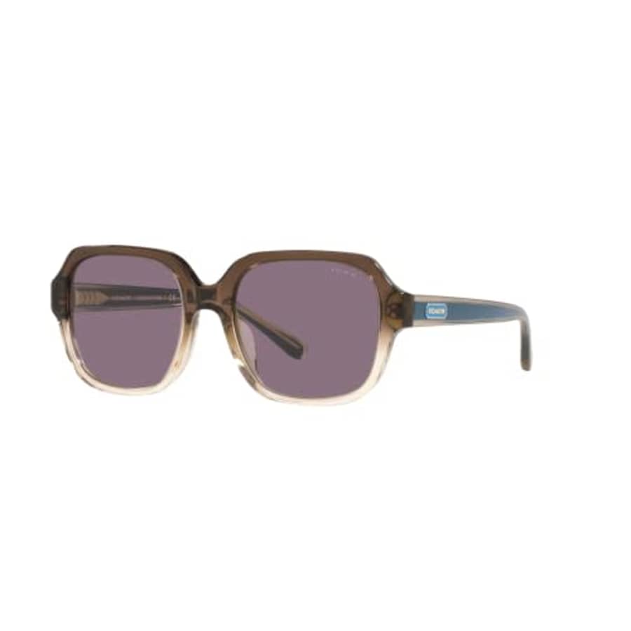 COACH Woman Sunglasses Transparent Brown Gradient Frame, Violet Solid Lenses, 53MM for $179 COACH Woman Sunglasses Transparent Brown Gradient Frame, Violet Solid Lenses, 53MM for $179