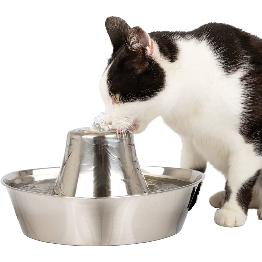 PetSafe 60-oz. Stainless Steel Cat & Dog Fountain for $26 PetSafe 60-oz. Stainless Steel Cat & Dog Fountain for $26