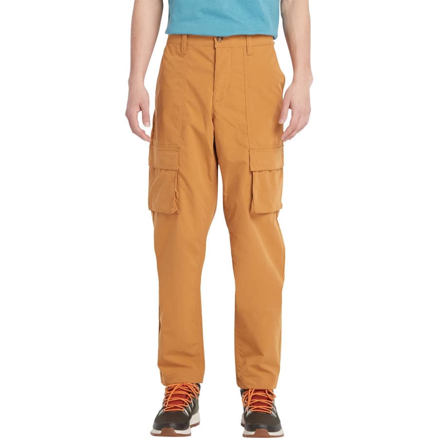 Timberland Men's DWR Cargo Pants for $22