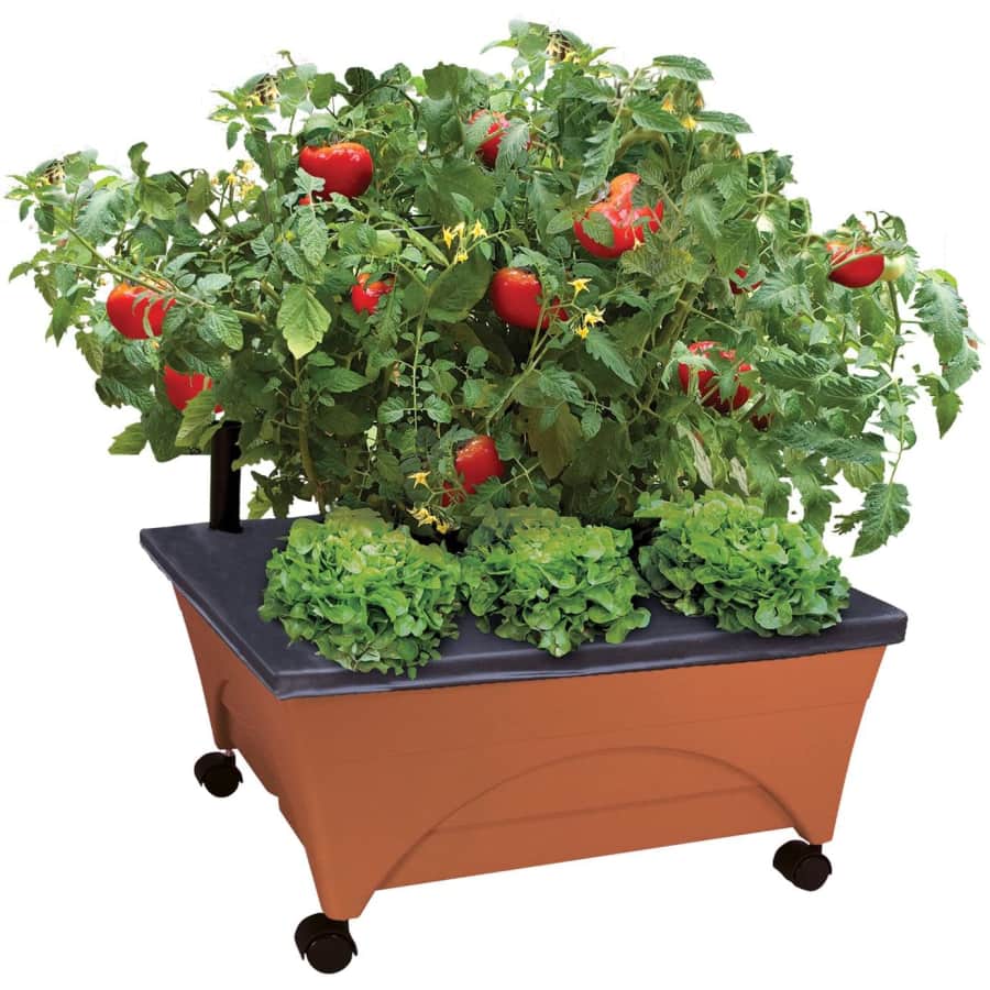Emsco Group City Picker Raised Bed Grow Box for $35