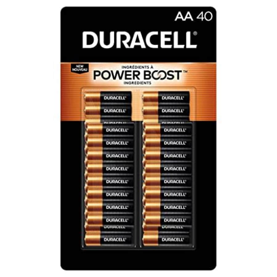 Duracell Coppertop Alkaline AA Batteries, 40-count, BROWN for $30