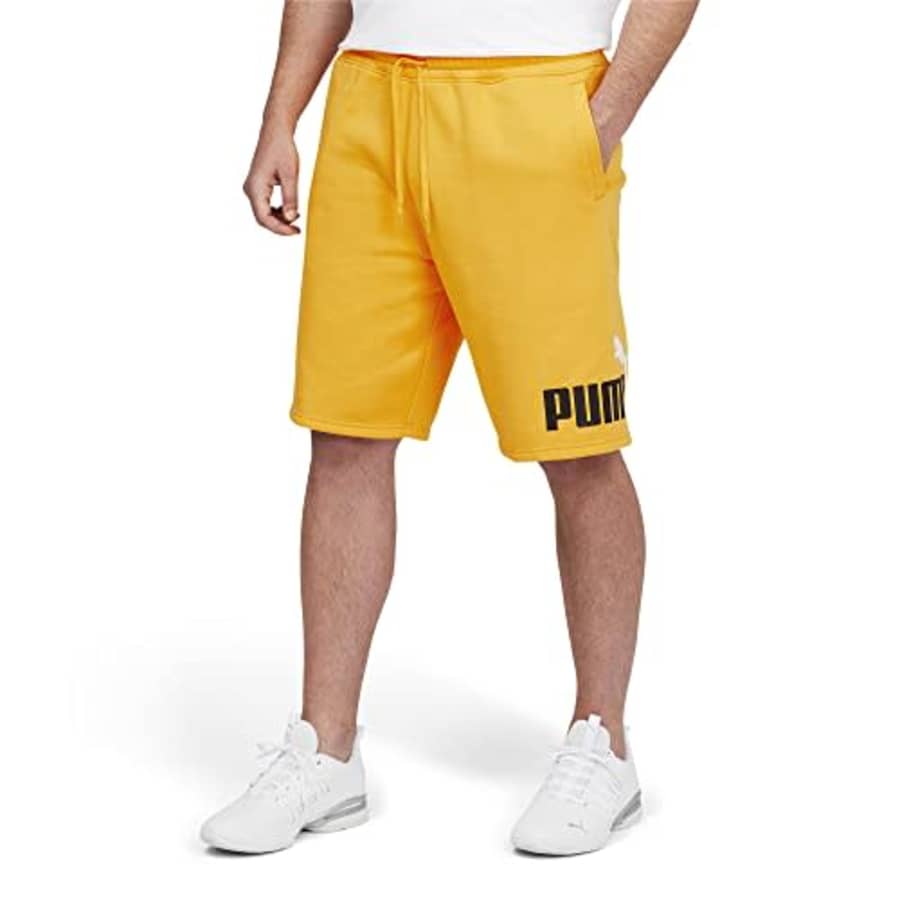 PUMA Men's Tall Size Essentials Big Logo Fleece 10" Shorts, Tangerine, Large for $22 PUMA Men's Tall Size Essentials Big Logo Fleece 10" Shorts, Tangerine, Large for $22