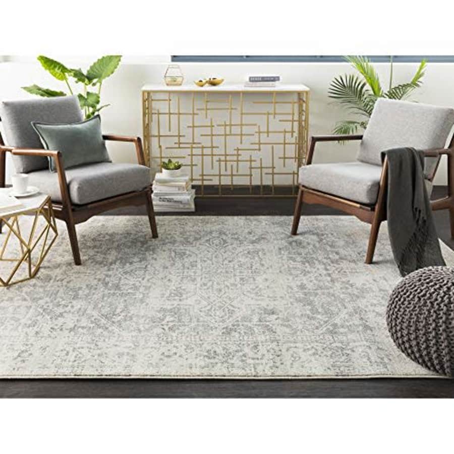 Artistic Weavers Janine Gray and Beige Updated Traditional Area Rug 2' x 3' for $19
