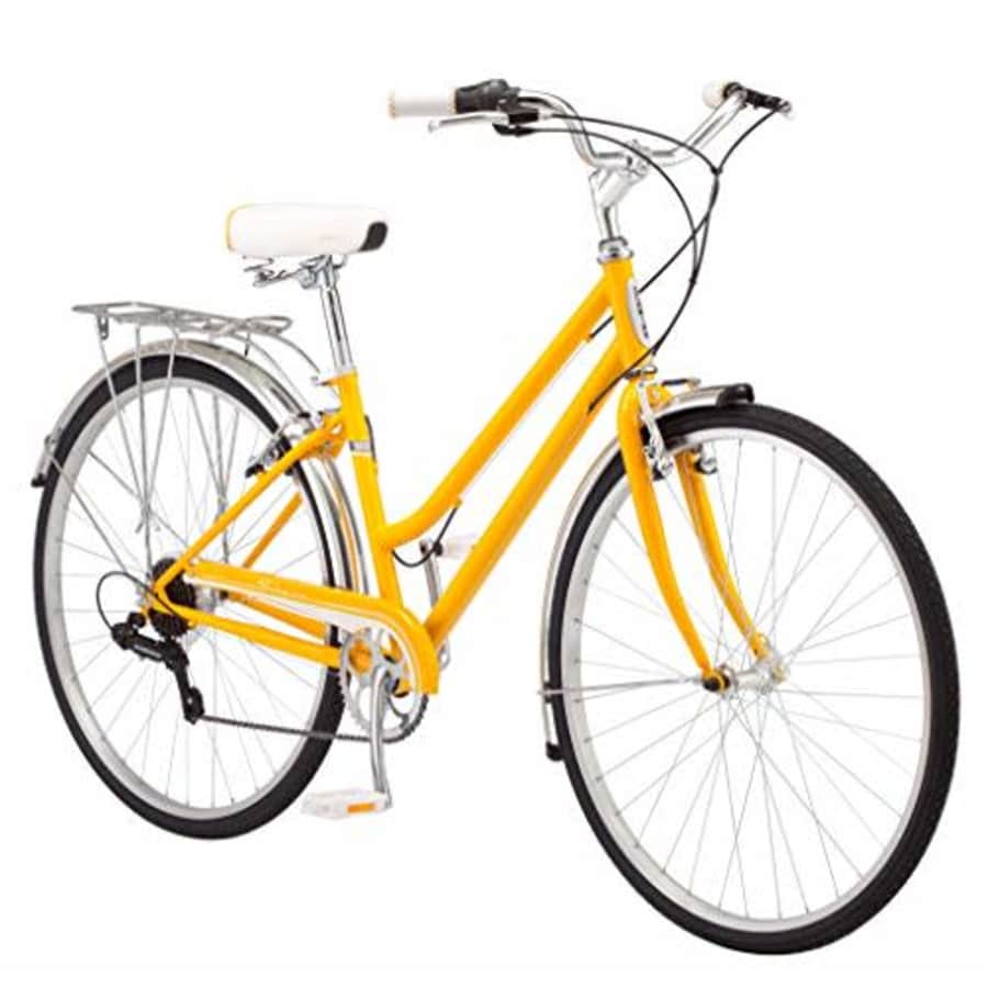 Schwinn Wayfarer Adult Bike Hybrid Retro-Styled Cruiser, 16-Inch/Small Steel Step-Through Frame, for $332