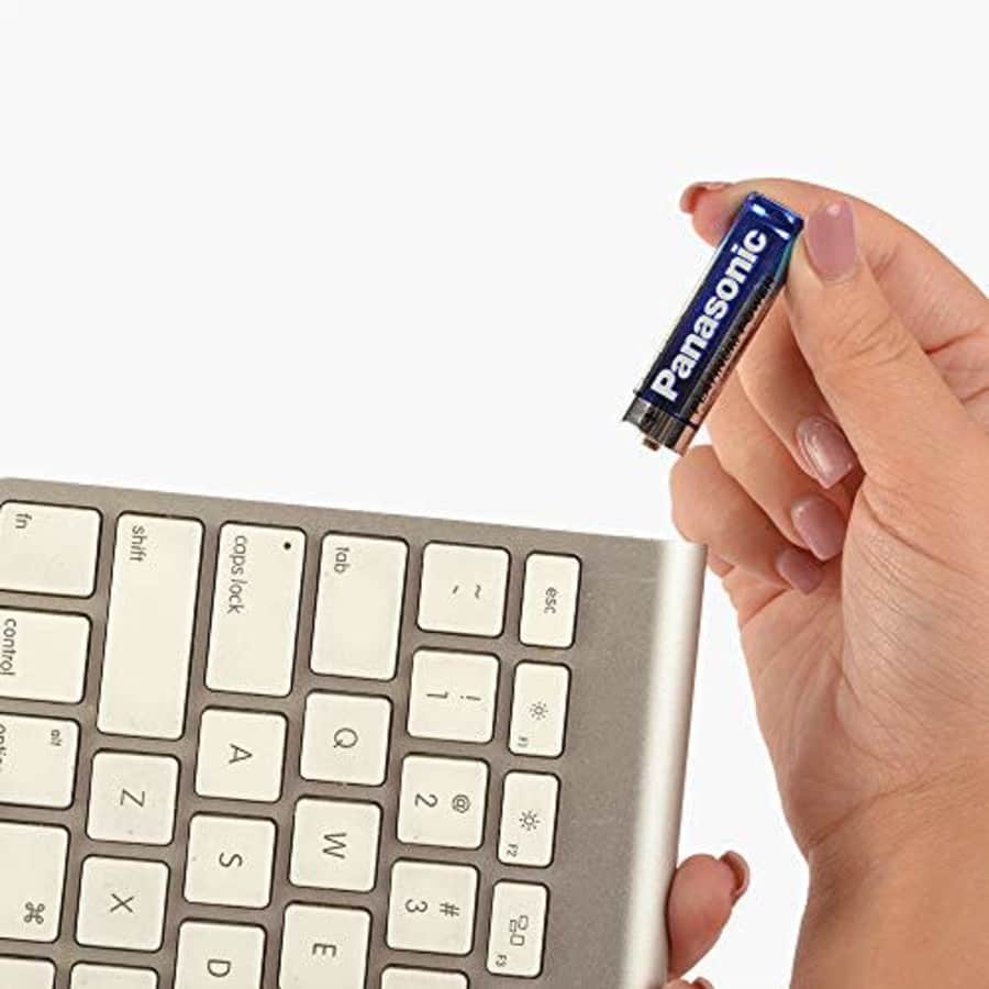 Panasonic Energy Corporation LR6XE/8B Platinum Power AA Alkaline Batteries, Pack of 8 for $13