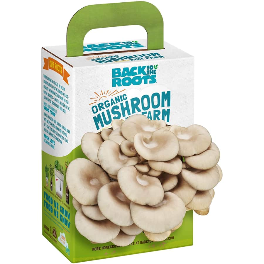 Back to the Roots Organic Mini Mushroom Grow Kit for $6 Back to the Roots Organic Mini Mushroom Grow Kit for $6