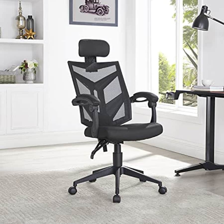 Naomi Home Juliet Adjustable Ergonomic Mesh Office Chair Black for $99 ...