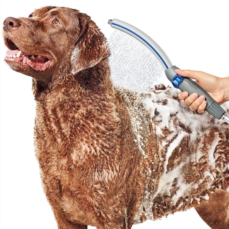 WaterPik Pet Wand Pro Shower Sprayer Attachment for $12