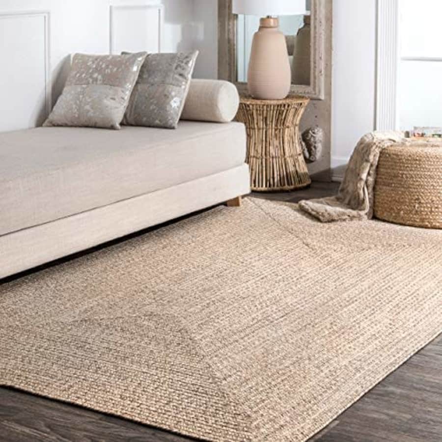 nuLOOM Wynn Braided Indoor/Outdoor Area Rug, 3' x 5', Tan for $50
