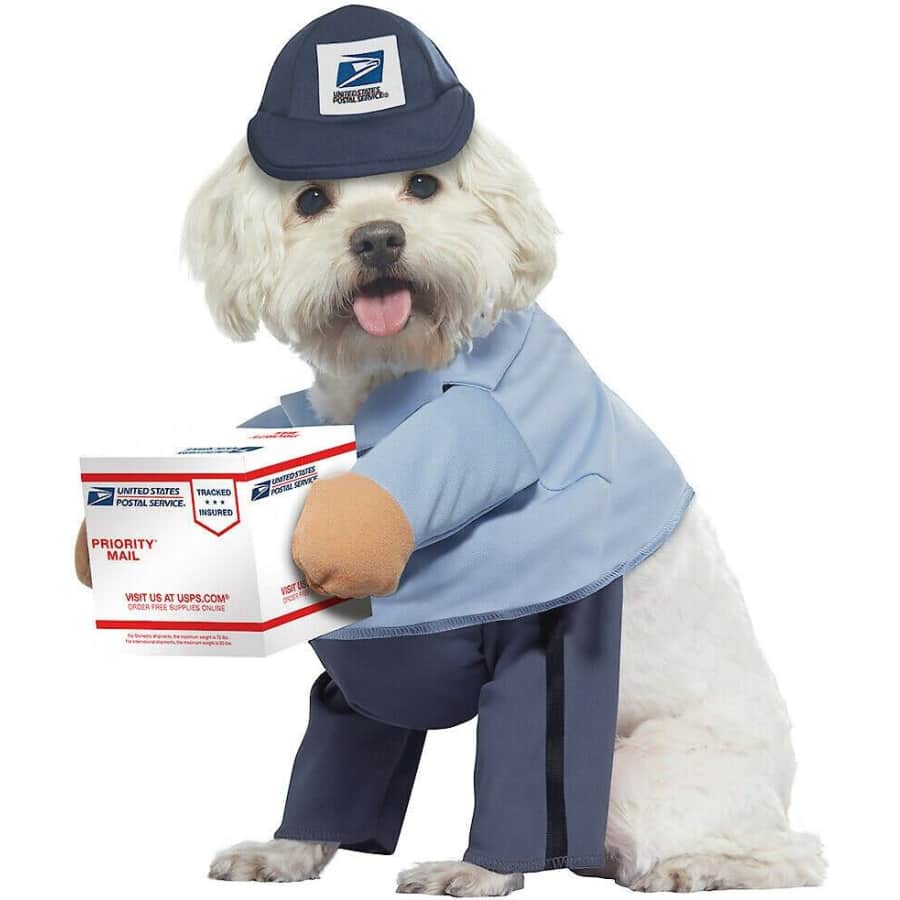 Dog Halloween Costumes at Chewy: Up to 60% off