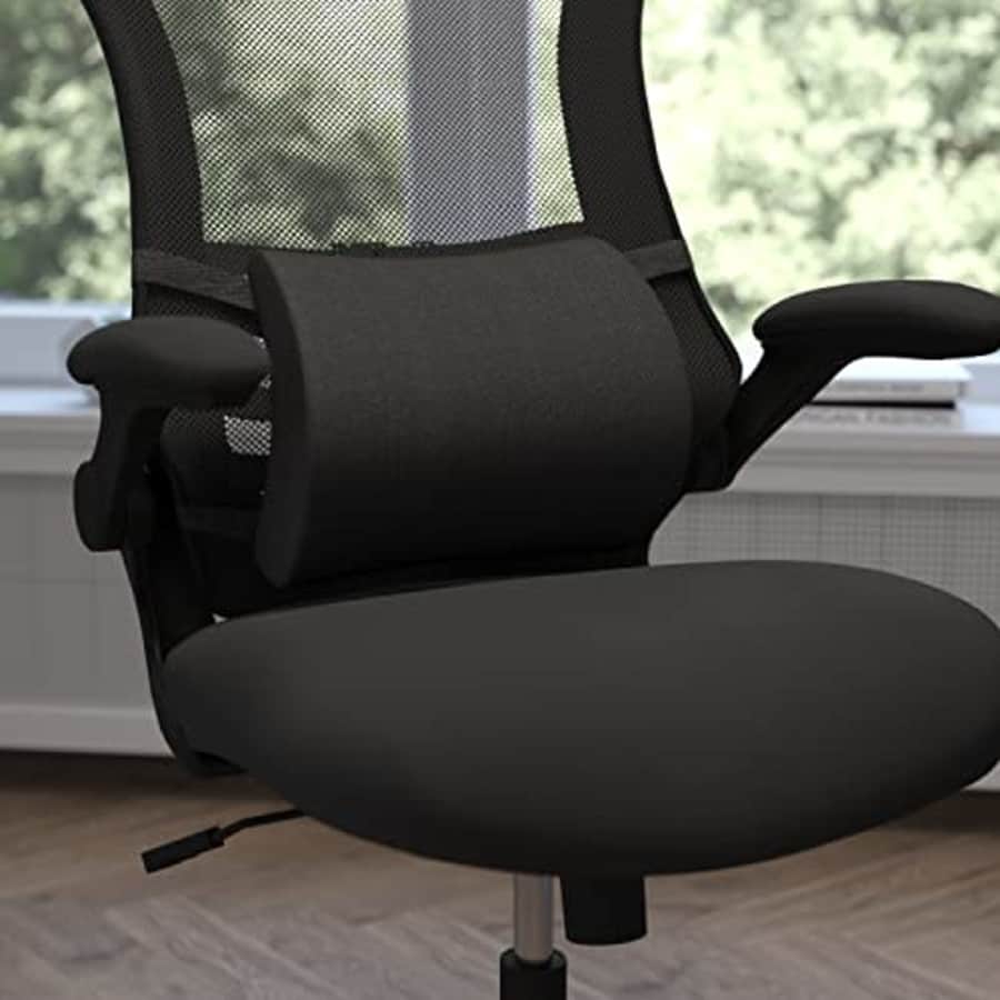 Flash Furniture Rey Lumbar Support Back Pillow Office Chair and Car Seat Cushion with Adjustable for $26 Flash Furniture Rey Lumbar Support Back Pillow Office Chair and Car Seat Cushion with Adjustable for $26