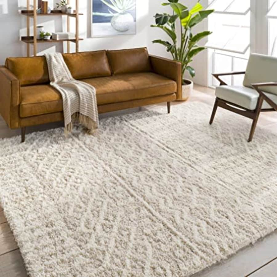 Artistic Weavers Hapsburg Moroccan Shag Area Rug, 5'3" x 7'3", Beige for $90