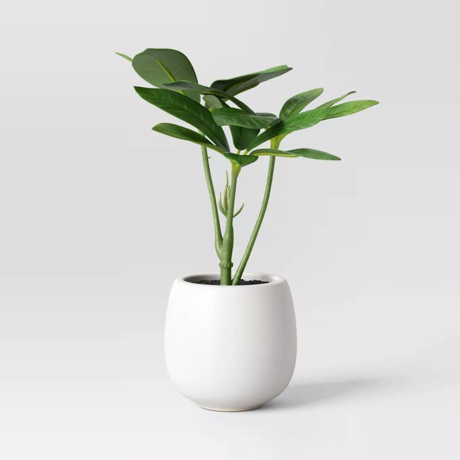 Threshold 6" Mini Tabletop Schefflera Artificial Plant for $3 Threshold 6" Mini Tabletop Schefflera Artificial Plant for $3