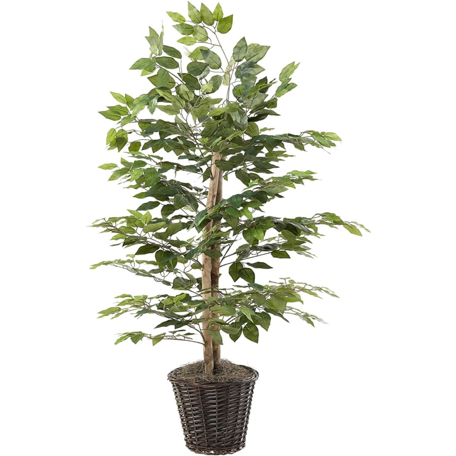 Vickerman 4-Ft. Artificial Natural Ficus Bush for $61