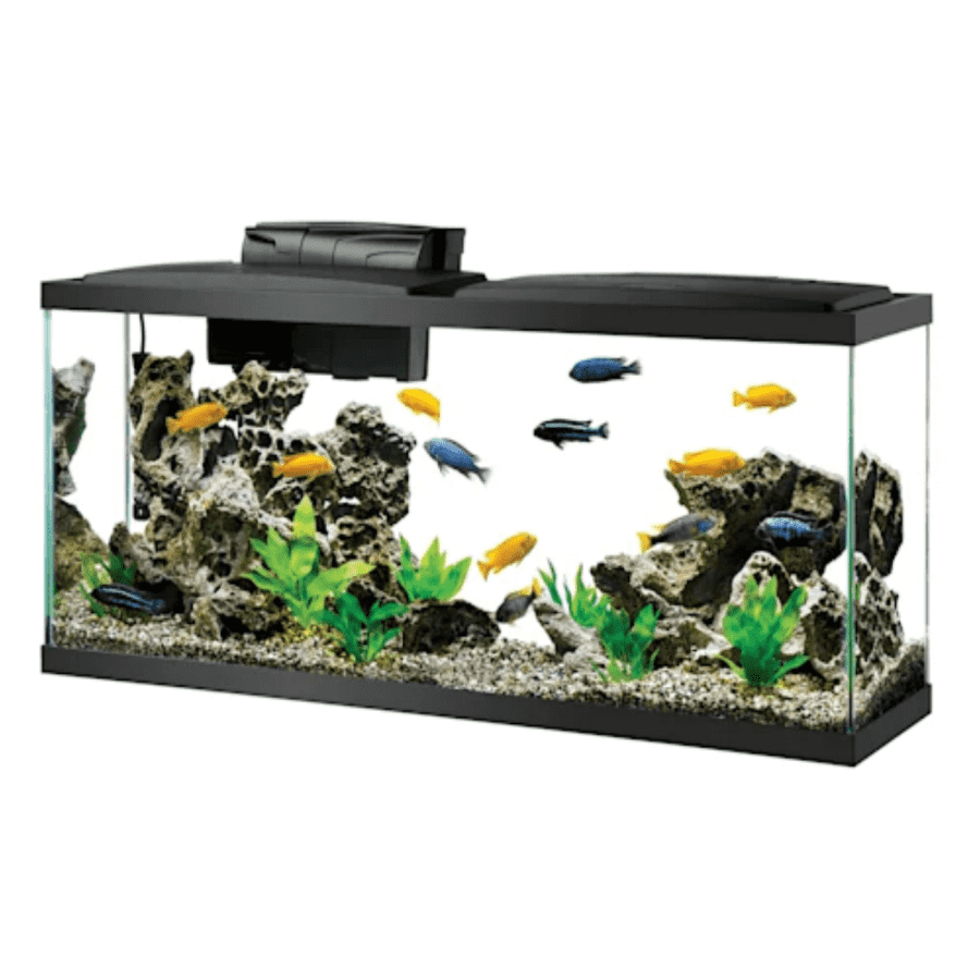 Aqueon 55-Gallon Standard Glass Aquarium Tank for $94 in cart Aqueon 55-Gallon Standard Glass Aquarium Tank for $94 in cart