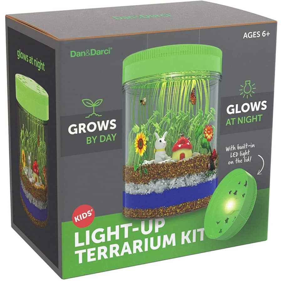 Dan & Darci Light-Up Terrarium Kit for $18