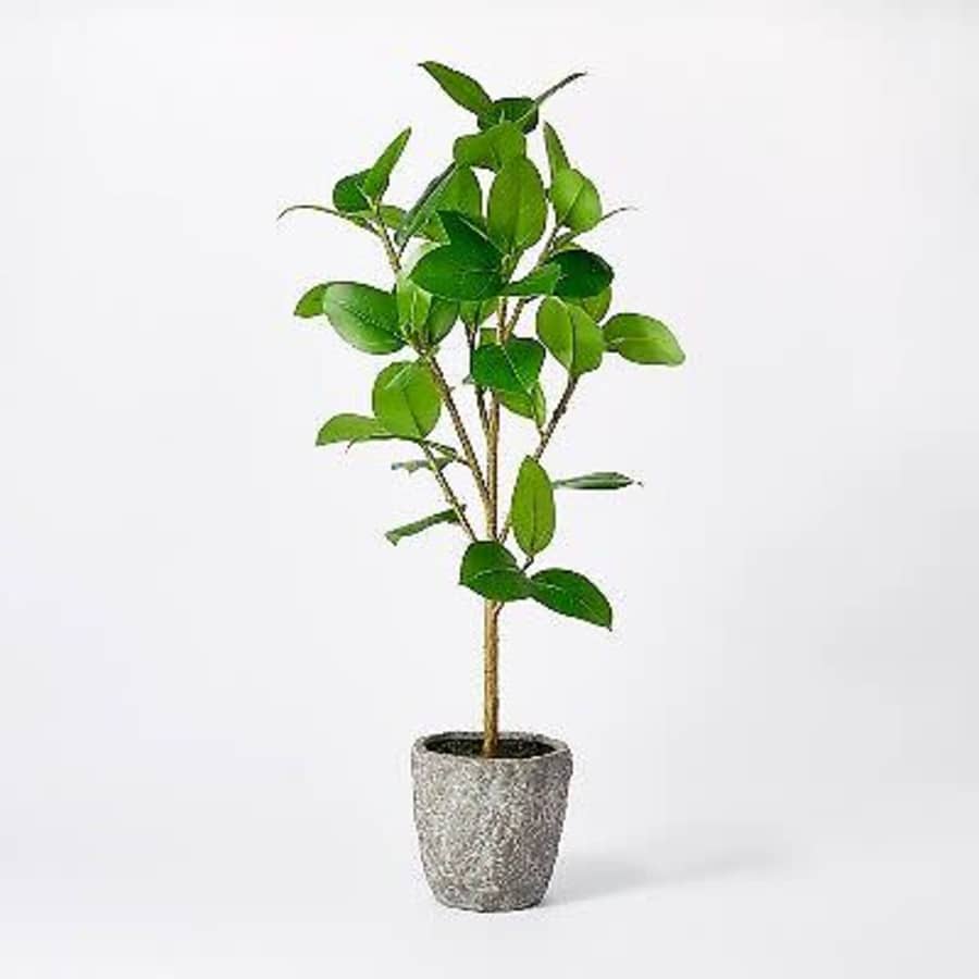 Threshold Faux Banyan Tree for $24