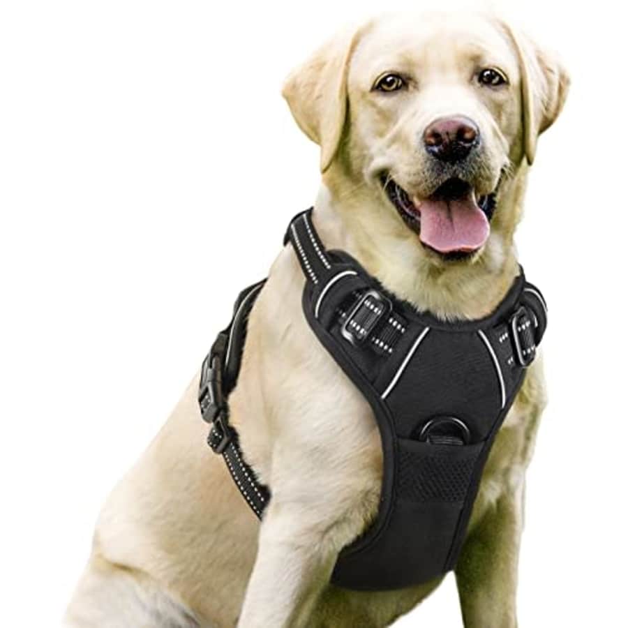 No-Pull Dog Harness for $17