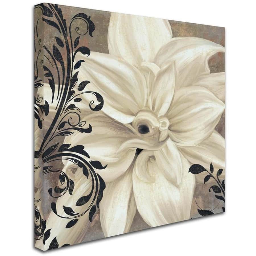 Trademark Fine Art "Winter White II" 35" x 35" Canvas Wall Art for $82 Trademark Fine Art "Winter White II" 35" x 35" Canvas Wall Art for $82