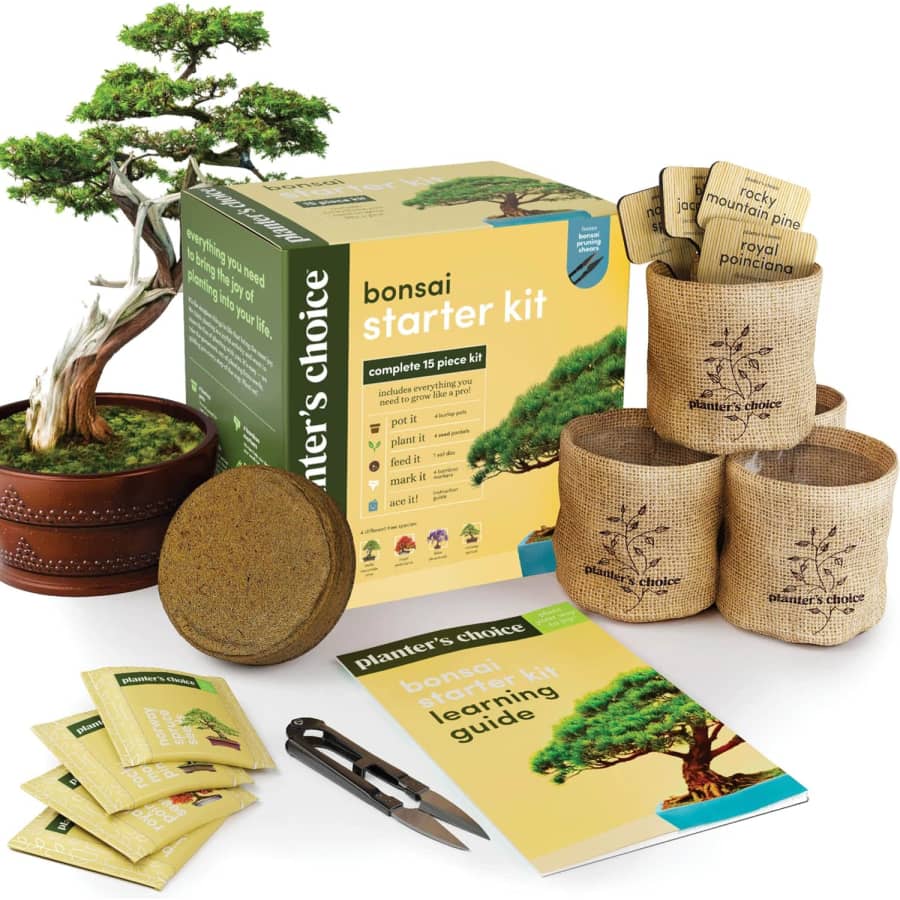 Planter's Choice Bonsai Starter Kit for $20 Planter's Choice Bonsai Starter Kit for $20