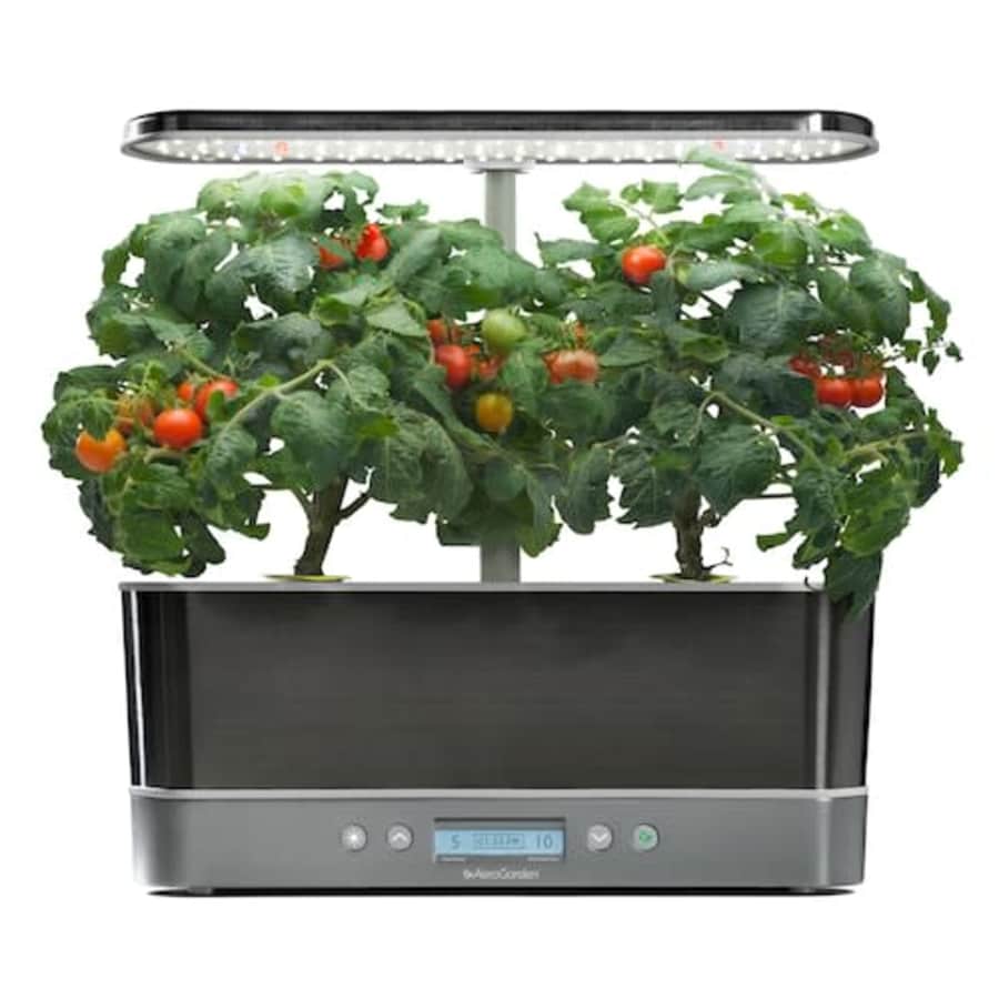 AeroGarden Harvest Elite Slim w/ Gourmet Herb Seed Pod Kit for $112 w/ $20 Kohl's Cash