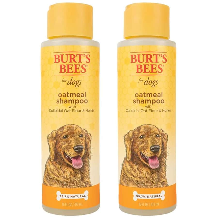 Burt's Bees for Dogs Oatmeal Shampoo 2-Pack for $25