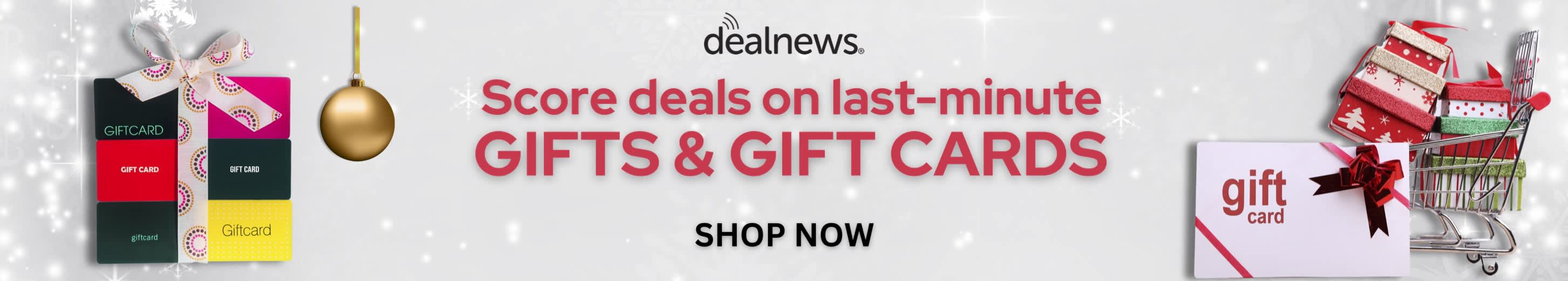 Shop the DealNews Holiday Gift Guide!