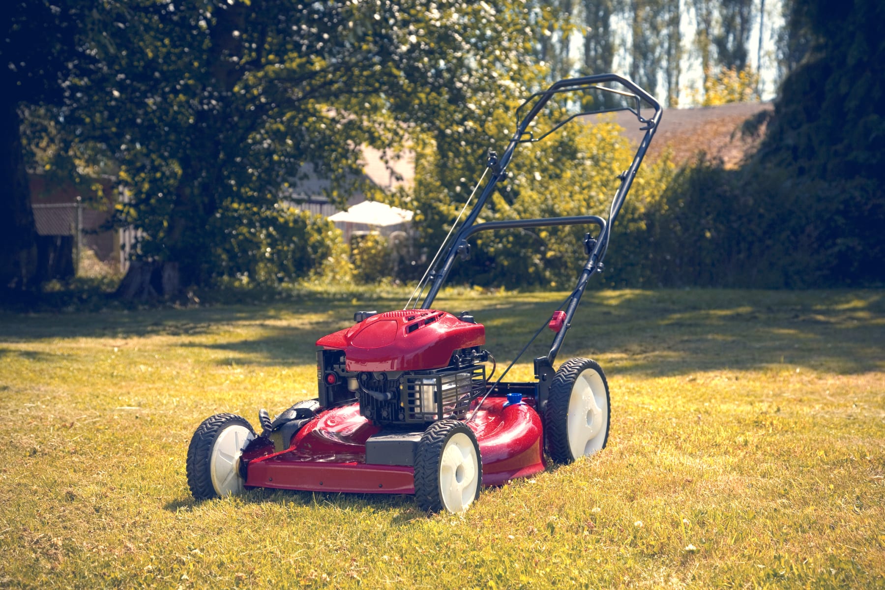 7 factors to consider before buying the perfect lawn mower