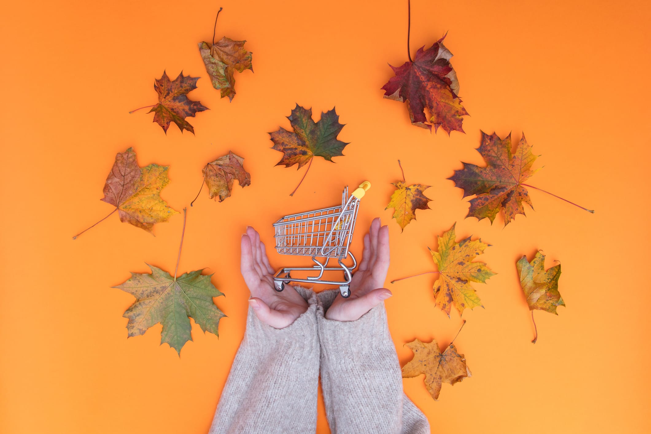 what to buy in October