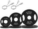 BalanceFrom Classic Cast Iron Weight Plate 35-lbs. Set for $25 + free shipping w/ $35