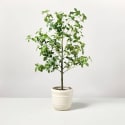 33" Faux Potted Gypsophila Leaf Tree for $23 + free shipping