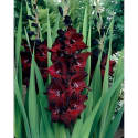 Live Goods Deals at Tractor Supply Co.: Up to 30% off + free shipping w/ $49