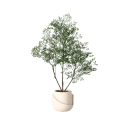 Threshold Luxe Mini Tree in Geometric Pot for $15 + free shipping