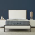 Cole & Rye ArticSky King 12" Premium Hyper Cooling Gel Memory Foam Hybrid Mattress for $248 + free shipping