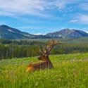 National Park Week is Coming! Here's How to Score Free Visits