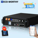 Eco-Worthy 48V 100AH LiFePO4 Lithium Server Rack Battery for $780 + free shipping