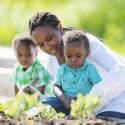 Save on Groceries This Summer With a Home Garden