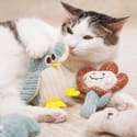 Cute Chew Catnip Cat Toy for $4 + free shipping