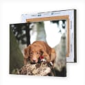 11" x 14" Canvas Print for $13 + free shipping
