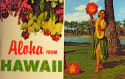 Aloha, Deals! Your Hawaiian Dream Vacation Awaits