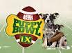 Tailgating for the Puppy Bowl (Pun Intended)