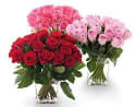 Where to Find the Best Price on Valentine's Day Roses