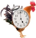 Combat Daylight Savings This Weekend With Some 'Unique' Alarm Clocks
