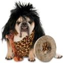 Halloween Infographic: Americans Spend $330 Million on Pet Costumes