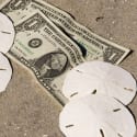 Offbeat Spring Break Ideas That Save Students as Much as 70%