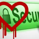 The Year of the Hack: What to Do About the Heartbleed Bug